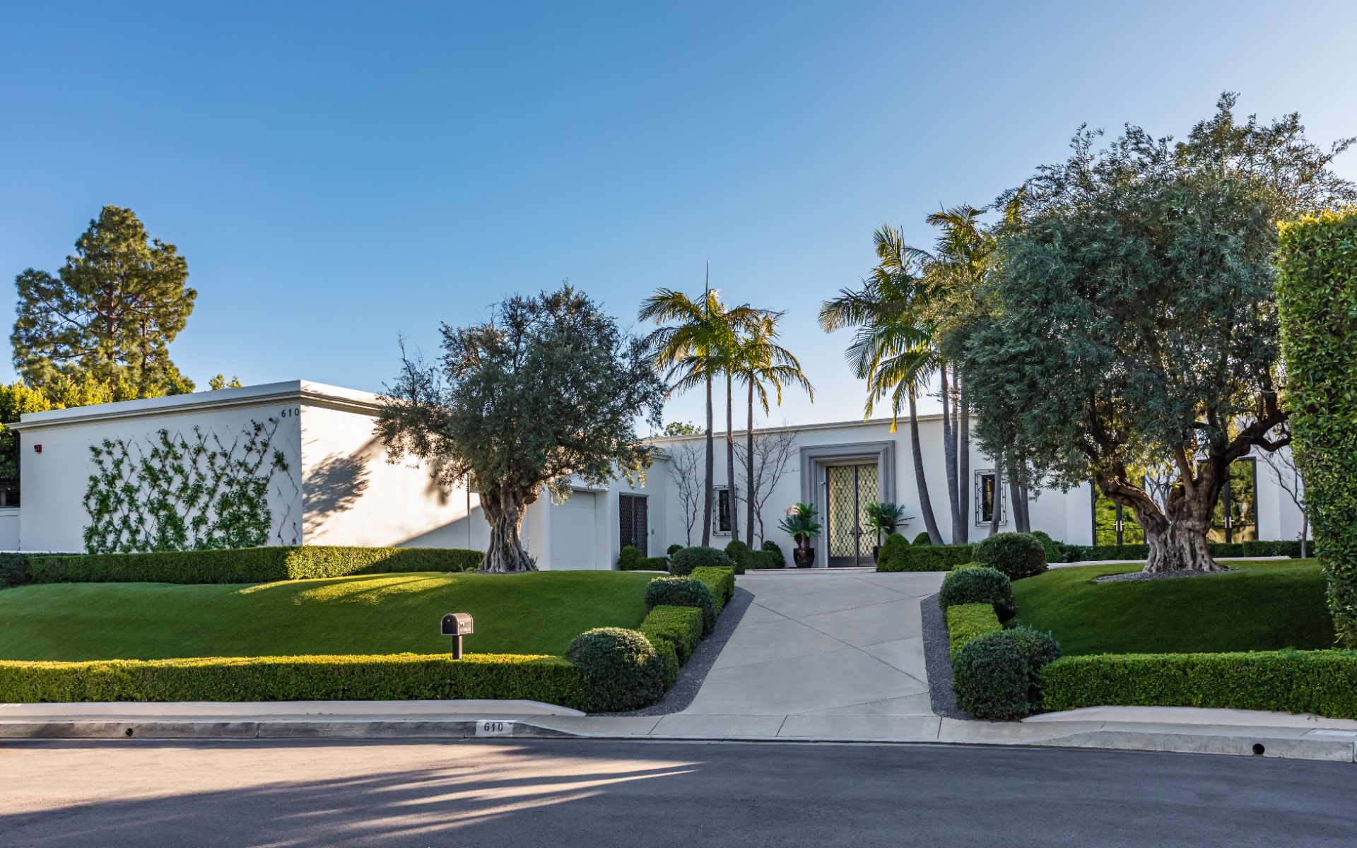 Street approach with olive trees