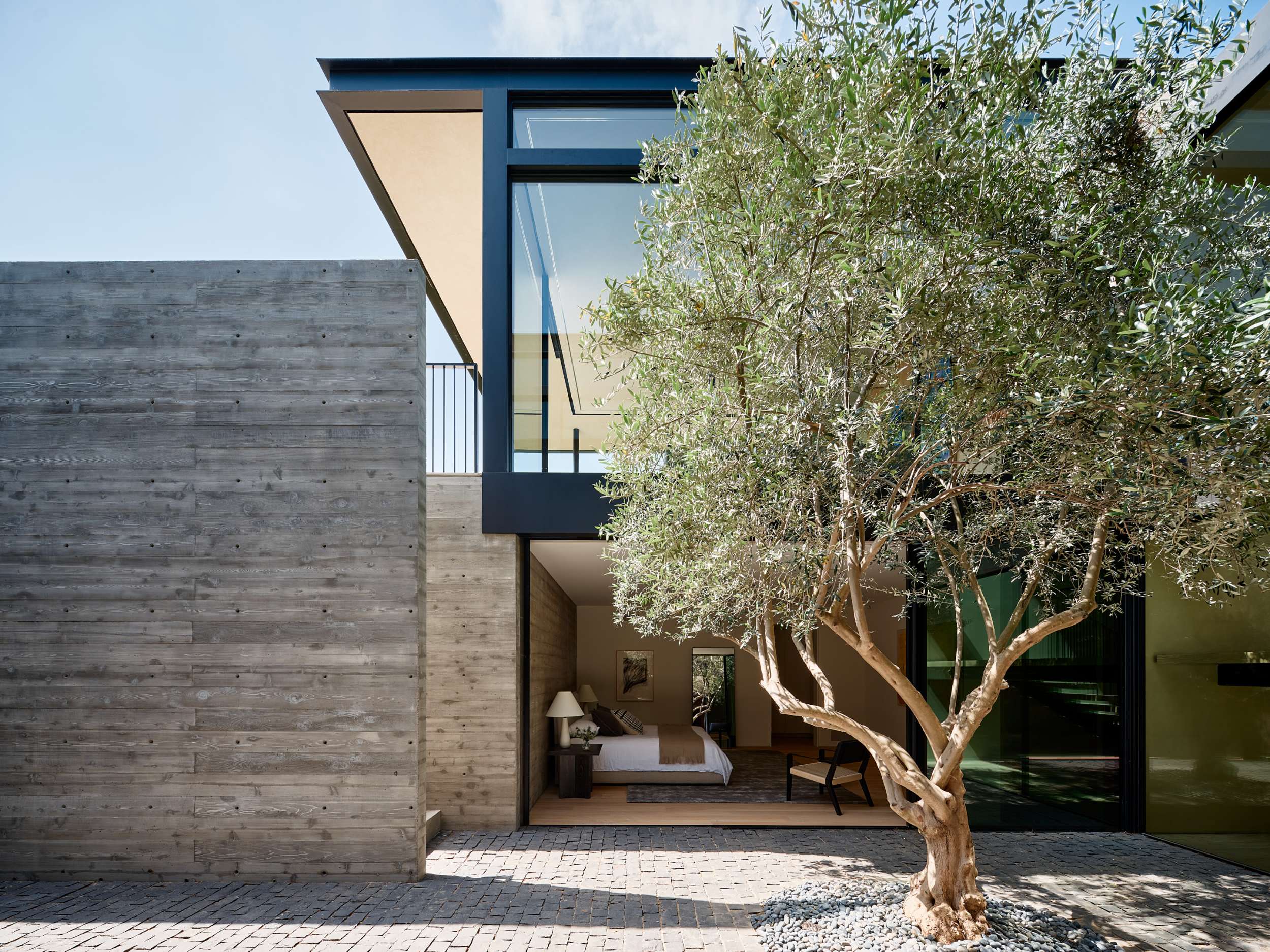 Courtyard facade with olive tree