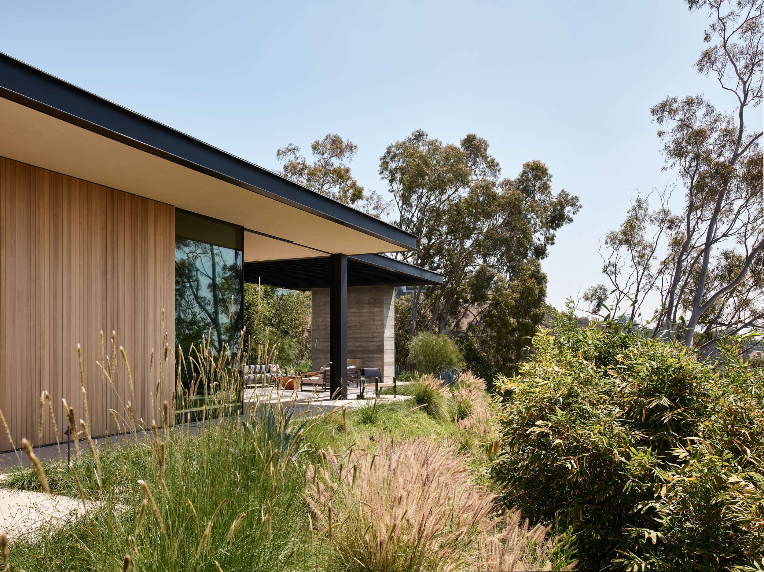 Wood-clad pavilion in native grasses