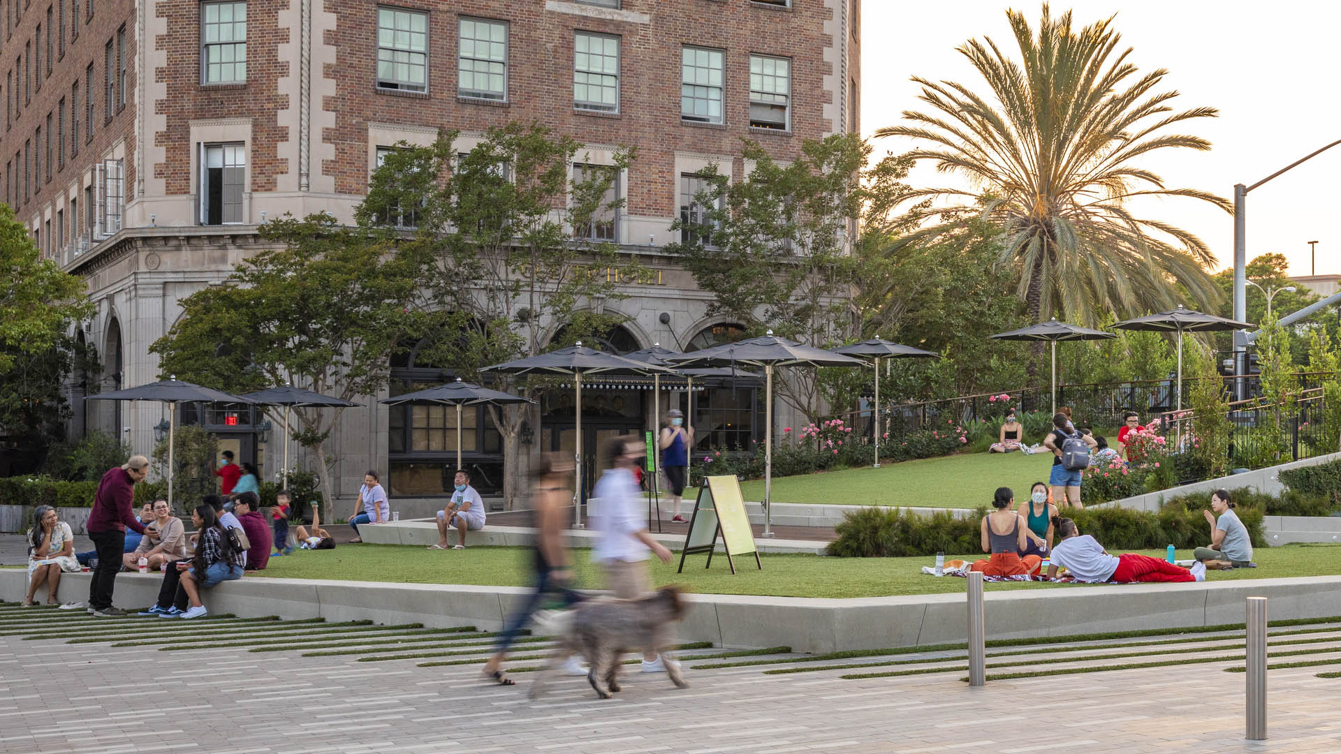 Town Square lawn below the hotel