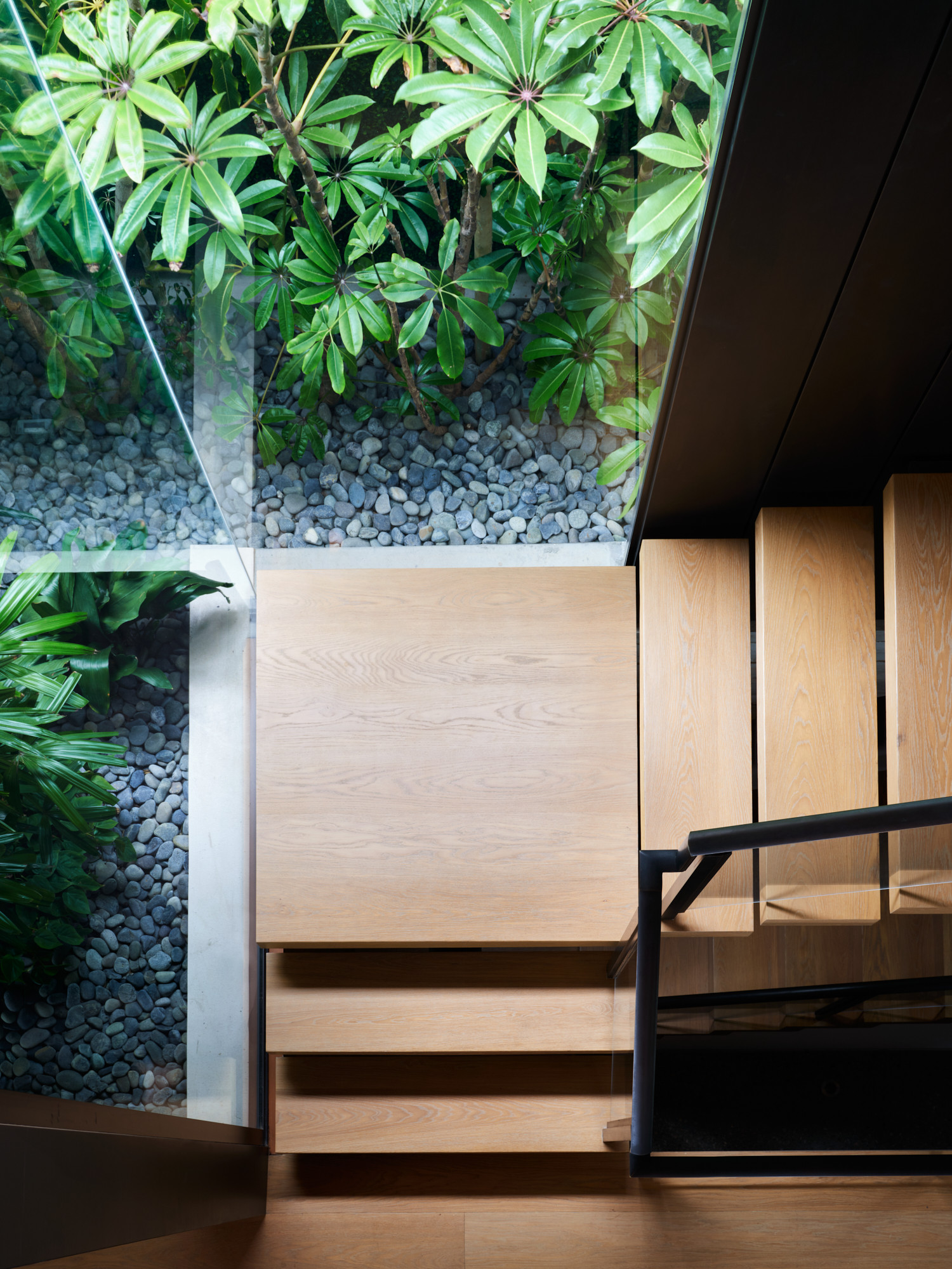 Stair landing over planted courtyard